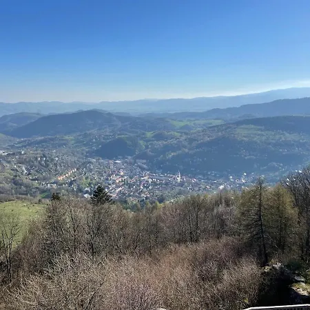 Apartment Belvedere *