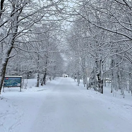 Belvedere Διαμέρισμα Kremnica